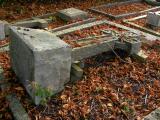 image of grave number 171877